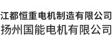 揚(yáng)州國能電機(jī)有限公司/江蘇恒重電機(jī)制造有限公司